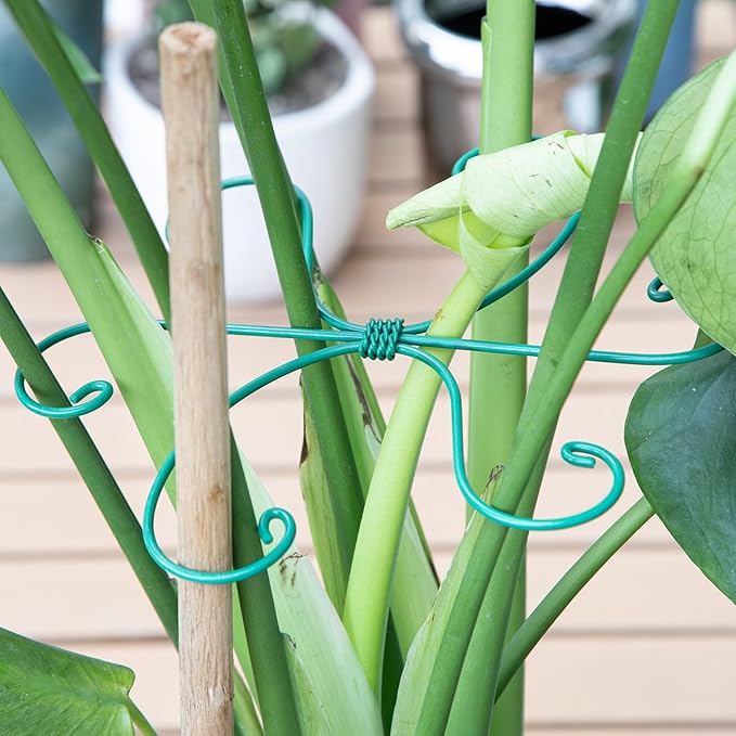 Yohsnor Monstera Plant Stem Support 5 Pcs - 7.5” Indoor Plant Stabilizer Holder for Monstera & Climbing Plants - Durable, Lightweight, Easy to Use for Optimal Growth & Stability - Home Décor Friendly
