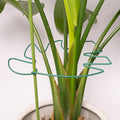 Yohsnor 5PCS Monstera Plant Support Stem 9 x 7.6 in- Durable Stabilizer Set for Indoor Climbing Plants, Holders for Enhancing Growth, Ideal Gift for Plant Lovers, Fishbone Cactus Stake Garden Tool