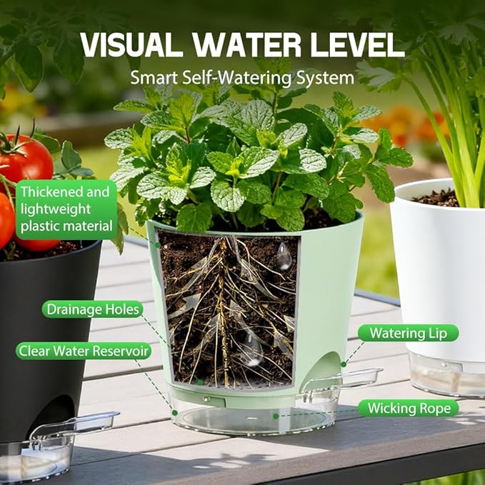 Self Watering Pots for Plants, 2026 New Flower Plant Pots with Drainage Holes, Wicking and Clear Reservoirs for Succulent, Aloe, Cacti and Others - 6 Pack (Colorful, 6")