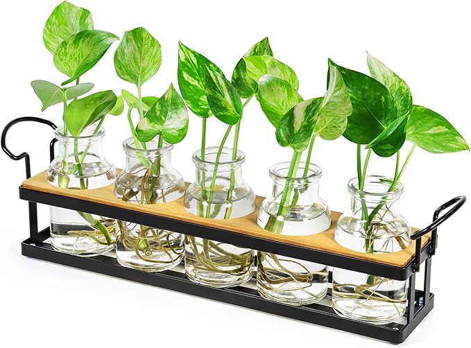 THYGIFTREE Plant Propagation Stations with Metal Stand, Tabletop Plant Terrarium for Propagating Hydroponic, Retro Glass Planter Flower Vase Home Kitchen Office Decor Gifts, 5 Jars