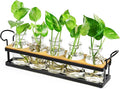 THYGIFTREE Plant Propagation Stations with Metal Stand, Tabletop Plant Terrarium for Propagating Hydroponic, Retro Glass Planter Flower Vase Home Kitchen Office Decor Gifts, 5 Jars