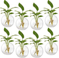 Layhit 8 Pcs Wall Hanging Planters Terrarium Glass Propagation Wall Mounted Planter Oblate Flower Vase Clear Glass Plant Containers for Hydroponics Plants Home Office Garden Decor