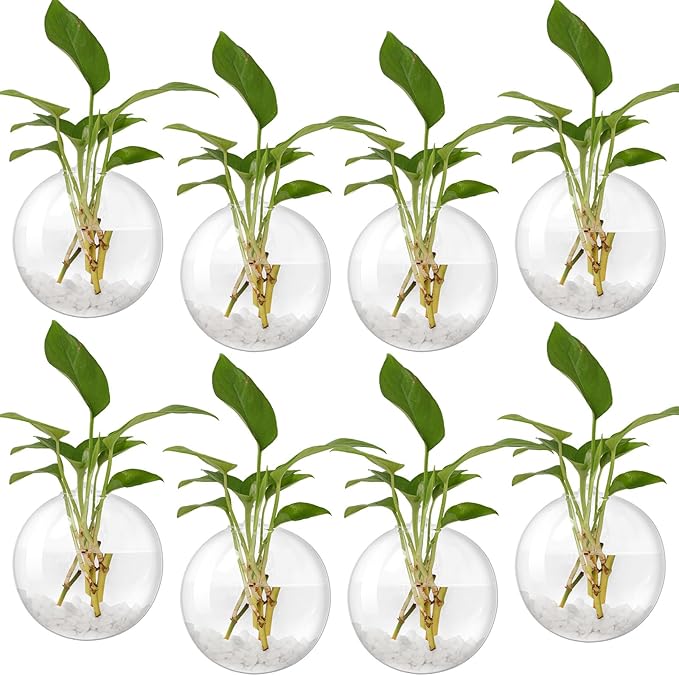 Layhit 8 Pcs Wall Hanging Planters Terrarium Glass Propagation Wall Mounted Planter Oblate Flower Vase Clear Glass Plant Containers for Hydroponics Plants Home Office Garden Decor