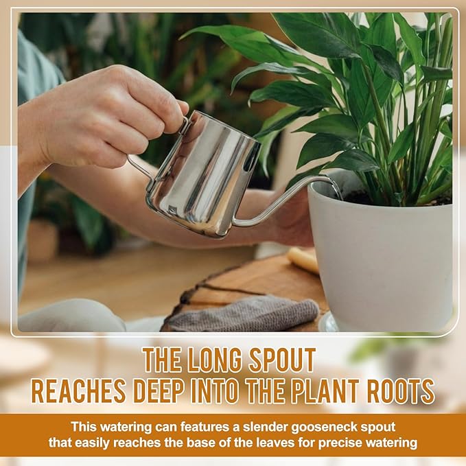2 Pcs Small Watering Can for Indoor Plants, 12 Oz/350 ml Mini Plant Watering Pot with Long Spout and Scale 304 Stainless Steel Tiny Watering-can for Outdoor Indoor Plants Garden(Sliver)