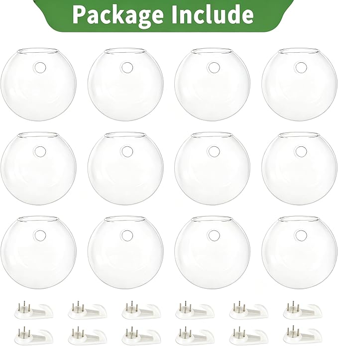NUPTIO Wall Hanging Planters Terrarium: 12 Pcs Clear Glass Wall-Mounted Vases for Indoor Office Garden Living Room - Oblate Plant Pots Hydroponic Containers Propagation Stations for Flowers