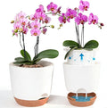 Sxueg Self Watering Orchid Pots for Indoor Plants,5.8 Inch Macetas para Orqudeas,Flower Pots for Indoor Plants with Holes(White)