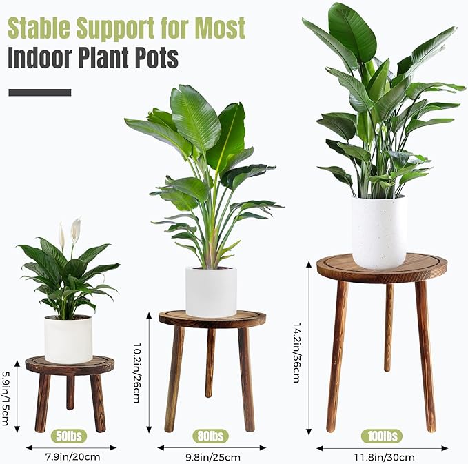 Janedream 3-Pack Wooden Plant Stands, Indoor Small Plant Stool Set, Multi-Purpose Single Plant Table for Living Room, Balcony, Office & Corner Display