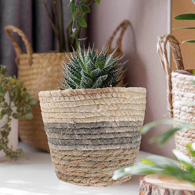 Angoily Round Wicker Plant Basket 2PCS Seagrass Rattan Flower Plant Pots Basket Planters Decorative Woven Flowerpots Wastes- Desktop Floor Weaving