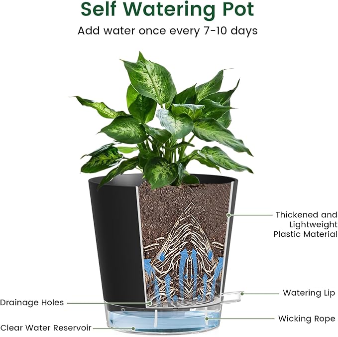 Meowell 6 inch Self Watering Pots for Indoor Outdoor Plants, 3 Pack Flower Plant Pots with Drainage Holes and Clear Reservoirs, Visible Water Level, Plastic Planters with Wicking Rope, Black