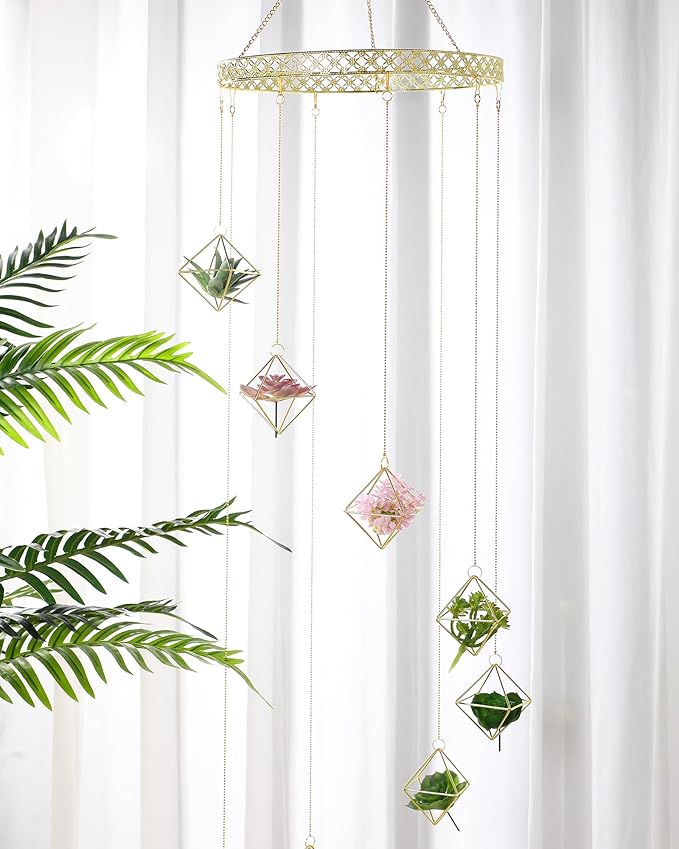 Willinglong 6 Pcs Hanging Air Plant Holder, Gold Tillandsia Air Plant Holders Unique, Airplants Live Holders, Air Fern Macrame Display for Indoor Home Office Ceiling Wall Decor