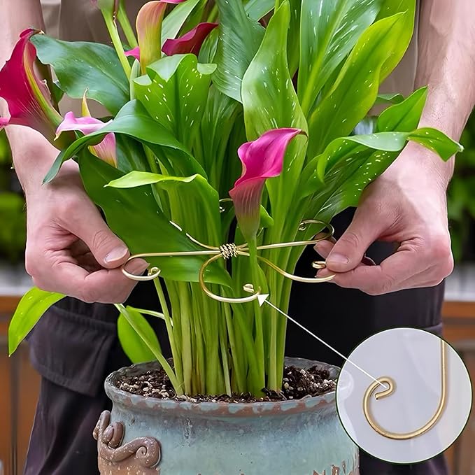 5Pcs Gold Plant Stem Support, Stable Support Stakes for Plants Stabilize, Outdoor & Indoor & Garden Plant Stakes for Healthy Growth (Flower Shaped Bracket A)