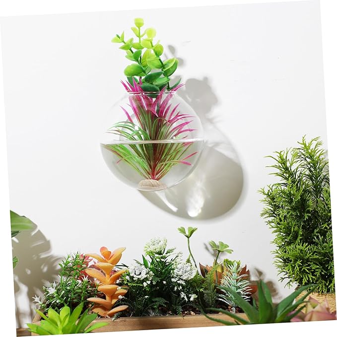 Sosoport 2 Pcs Borosilicate Glass Hanging Planter Vase for Indoor Plants and Fish Bowls Wall Mounted Propagation Station with Easy Installation Hardware Clear Glass Terrarium Pot for Home