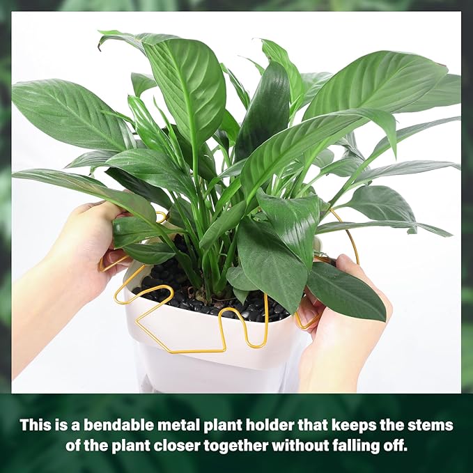 6Pcs Iron Monstera Plant Support Stakes - Indoor Plant Holders for Stem Support and Thriving Growth (Mix Color)