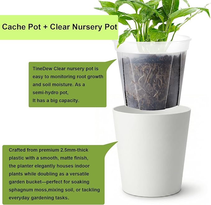 6 Pack of 6in Plastic Cachepot with 6 inch Clear nusery Pot - self Watering Indoor Planter with Drainage for Root Visibility,semi Hydro pots for repotting Monstera,Orchids,Aroid,White
