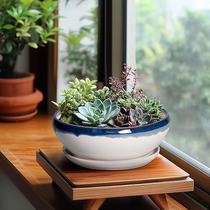 SQOWL Bonsai Pots Ceramic - 8 Inch Succulent Planters Indoor, Succulent Pot with Drainage Hole and Tray, Shallow Ceramic Plant Pot, Round Bowl Planter, Porch Decor, Gardening Gift, Blue Off-White