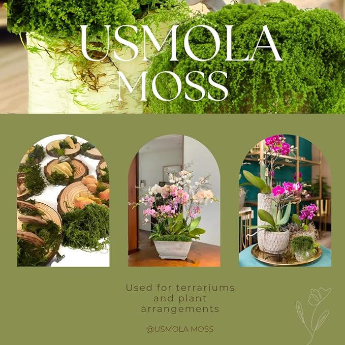 USMOLA Fake Moss for Potted Plants Indoor, 7OZ Green Moss for Crafts - Realistic Faux Grass Decor for DIY, Terrariums, Fairy Gardens & Table Centerpieces Home Decor (Light Green)