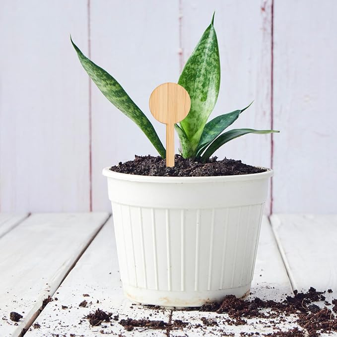 Kisangel Plant Markers Labels 60 Pcs Bamboo Potted Plant Round Live Succulents Plants