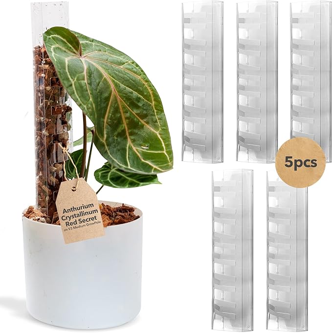 THICCLY V3 GrowPole Medium 5 Pcs - Front Opening Plastic Moss Poles for Climbing Plants, D-Shaped Moss Pole for Monstera Plant Support Plant Climbing Pole, Plastic Plant Pole Support for Philodendron