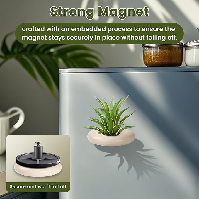 6 Pack Air Plant Holder Magnet Wooden Air Plant Display Stand Small Hanging Planter Wall Mount Holder for Live Tropical Tillandsia Fridge & Home Office Decoration Plants Not Included (6, Natural Wood)