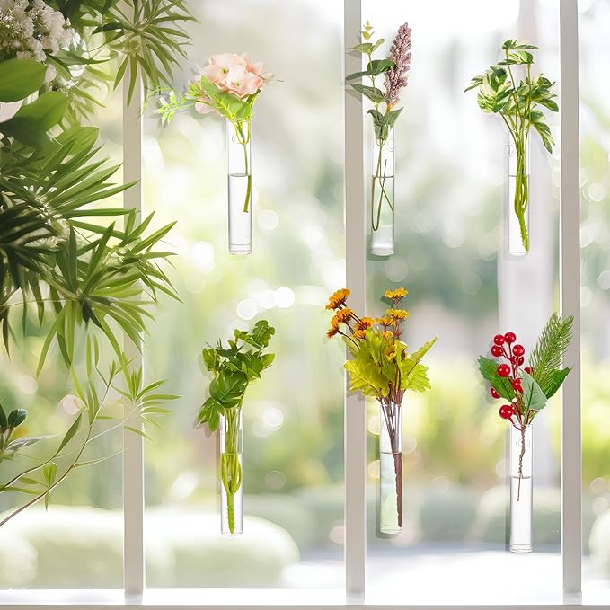6 Pcs Window Propagation Stations Glass Plant Propagation Tubes with 6 Suction Cups and 6 Seamless Nails Easy to Install Plant Wall Hanging Terrarium Gifts for Plant Lovers