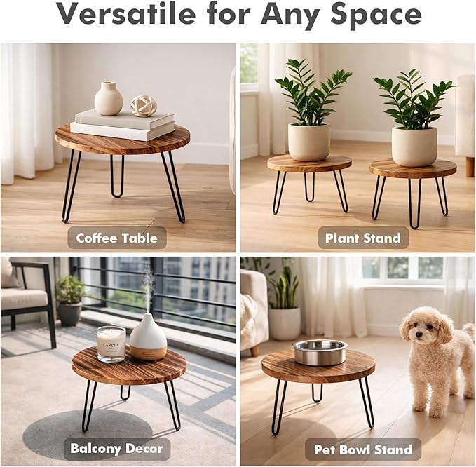 Wood Plant Stand 2 Pack Small Plant Stool Indoor 10 Inch Plant Riser Wooden Flower Stand Plant Holders Indoor Stand 6.3" Tall Planter Stands for Plants Corner Round Plant Table Outdoor Floor Plant Stand