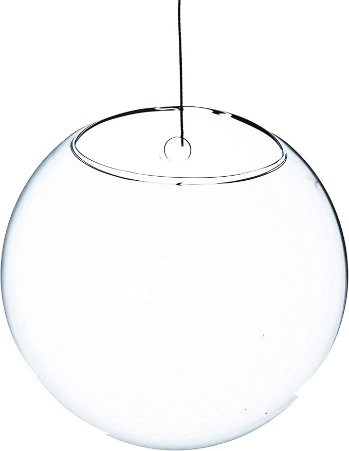 WGV Wall Hanging Planter Terrarium Bulk, Diameter 5", Clear Mounted DIY Succulents Air Glass Floral Container Vase, Tea Light Votive Candle Holder for Decoration 6 Pieces