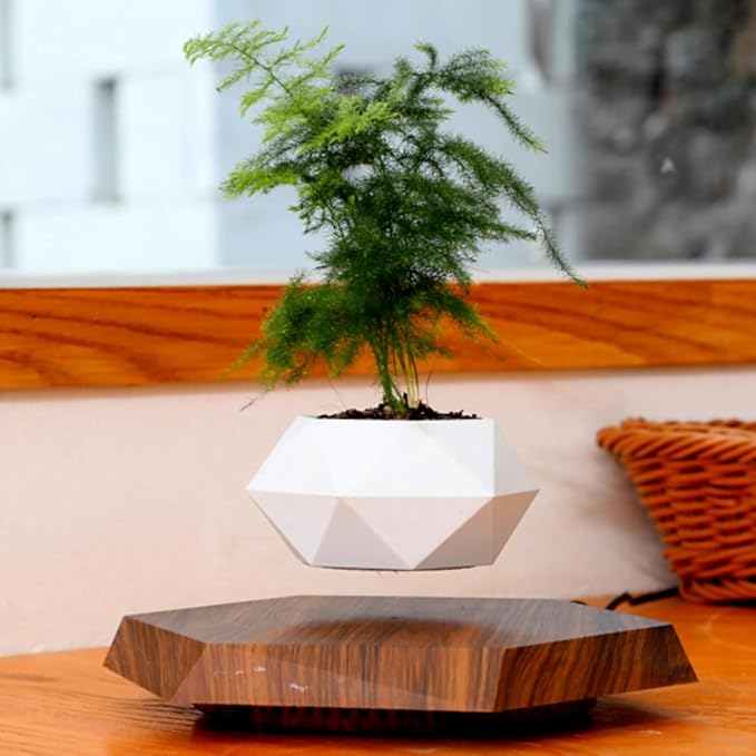 Planting Flower Pots, Leveling Plant Pot, Magnetic Activity, Floating Plant Pot, Floating Plant, Hanging Flower Pots, Suspended Flowpot, Planers