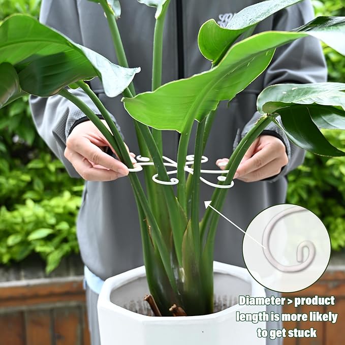 Yohsnor 6.5 * 6.5in Monstera Plant Support Hook 5PCS - Durable Stabilizer & Leaf Holder for Indoor Plants, Flexible Installation & Soft Grip Design - Perfect for Fishbone Cactus and Other Houseplants