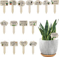 15pcs Garden Plant Markers, Wooden Plant Labels Tab Funny Plant Signs with Stake, Interesting Words & Cute Patterns Garden Tags Labels for Outdoor Indoor Patio Supplies Novelty Gifts