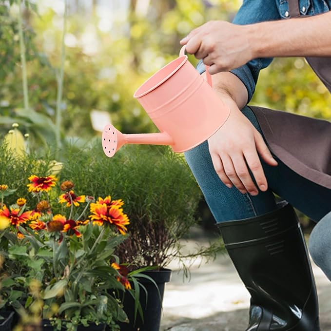 1.6L Watering Can for Indoor Outdoor Plants, Modern Small Watering Cans, Metal Flower Watering Can, Long Spout Watering Can-Colorful Plant Waterer for Indoor Bonsai Plants Garden Flowers (Pink)