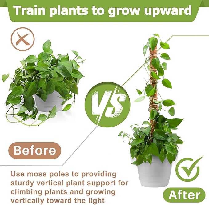 Sukh Moss Totem Pole - Moss Pole for Plants Monstera 2 Pcs 15.7 Inch Coco Coir Pole for Climbing Indoor Potted Plants Training Grow Upwards with Jute String Moss Stick for Plant Support Extension