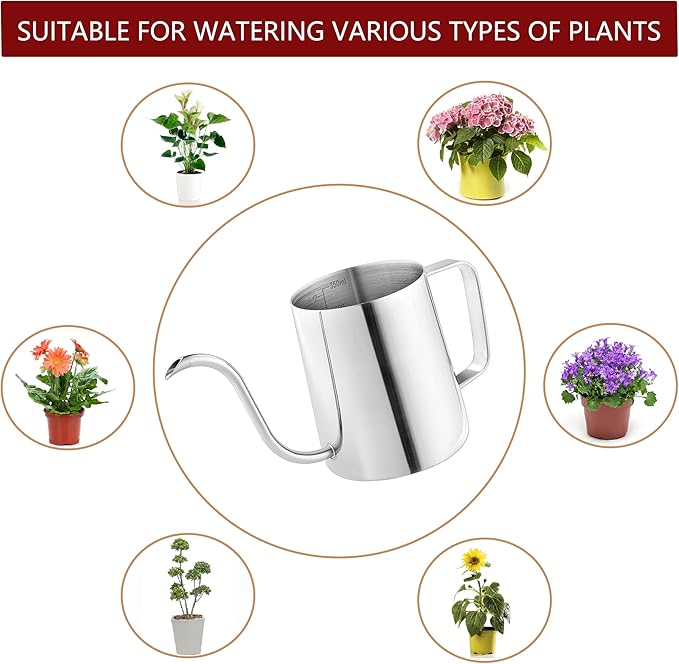 Small Watering Can, OLULU 12oz (350ml) Stainless Steel Indoor Watering Can with Long Spout, Mini Watering Can for Houseplants, Desk & Home Plants
