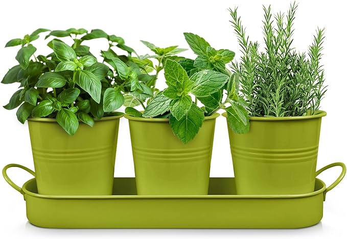 Plexon Herb Planter Indoor Garden Set of 3 with Tray, Metal Herb Pots for Indoor Plants, Round Kitchen Garden Kit Ideal for Windowsill Planter or Countertop, Green Powder Coated