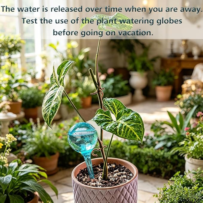 Plant Self Watering Globe, Small 6pcs Plant Watering Stakes Automatic Plant Watering Bulb System Spikes, Flower Automatic Watering Device, Garden Self Waterer for Indoor Outdoor Plant