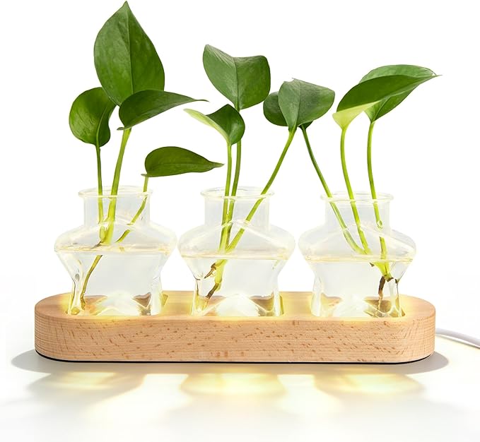 XXXFLOWER Plant Propagation Station with LED Light, Wooden Base Glass Terrarium & Lighted Vase, Hydroponic Planter Terrarium for Home Desk Decor, Ideal Gifts for Gardeners & Plant Lovers(3 Star Vases)