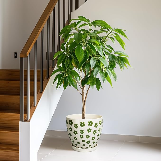 MPotTo Ceramic Flower Pot - 10 Inch Plant Pot Indoor with Drainage Hole and Saucer, Boho Round Ceramic Planter for Indoor Outdoor Plants, Plant Lover Gifts, Home Garden House Decor, White