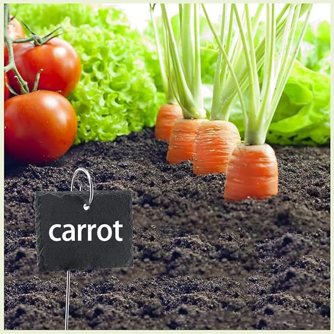 Slate Plant Labels Garden Markers Signs Labels with Stainless Steel Stake & Marker Pen Waterproof Slate Plant Labels for Flowers, Herbs, Potted Plants, Seed (Oval, 10PCS)