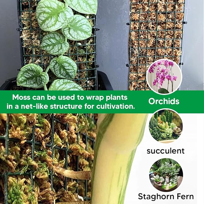 Natural Long Fiber Sphagnum Moss 1196QT for Orchid Potting Mix, and Moss Pole for Plants Indoor. Ideal for Propagating Plants, Maintaining Humidity for Reptiles, Isopods in Paludarium (22 lb)