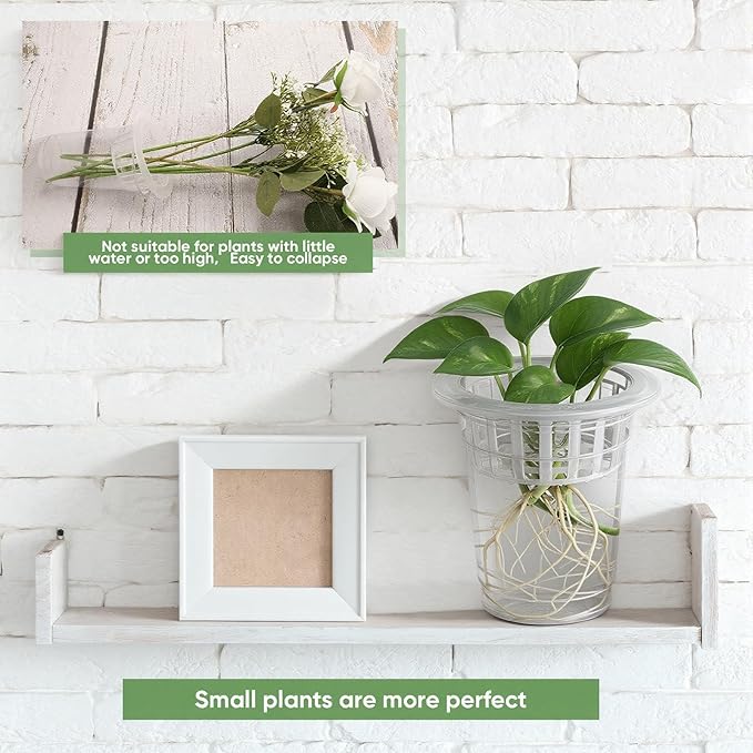 Baderke 70 Pcs Plastic Plant Propagation Station Desktop Terrariums Plant Tabletop Vase with Hydroponic Baskets for Indoor Home Office Desktop Decor (4.25'')