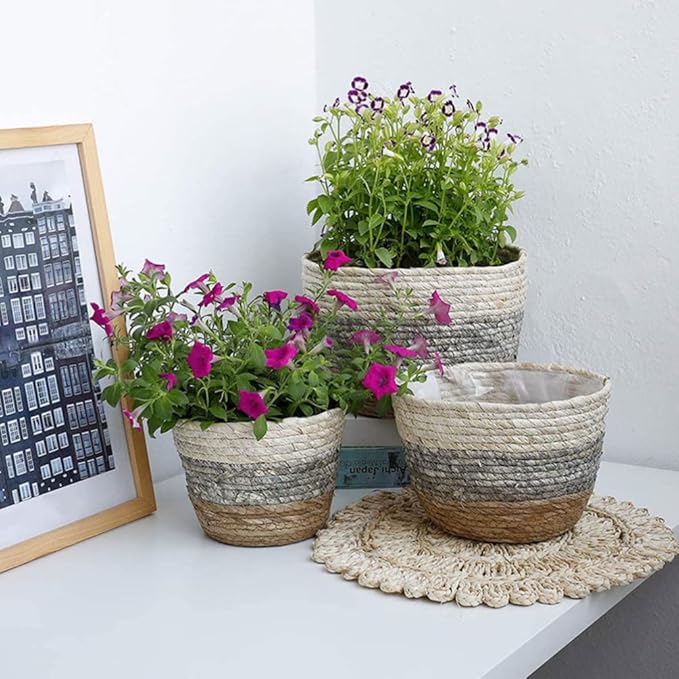 Operitacx Handmade Sea Grass Plant Basket 2 Pack Decorative Flower Holder Baskets for Home