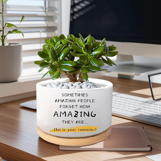 Inspirational Gifts for Coworker Teacher, Funny Succulent Plant Pot, Cactus Flower Planter, Office Decor Positive Gifts for Women Men Friend Boss Manager (Plants Not Included)
