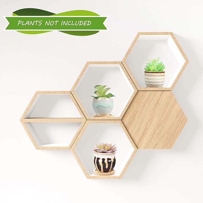 BBTO 6 Set Mini Succulent Pots Bulk with Drainage and Bamboo Tray 2.9 x 3.1 Inch Small Cute Ceramic Succulent Planter Pot Garden Glaze Container Ideal Present for Cactus Office Home Decoration Gift