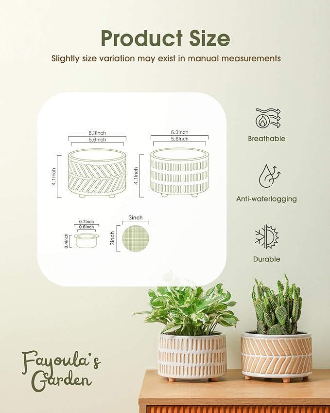 Fayoula Succulent Pots, 6 Inch Planters with Drainage Hole, Modern Indoor Plant Pots for Succulents, Herbs, Aloe, Snake Plant - Ceramic Home Décor, Set of 2