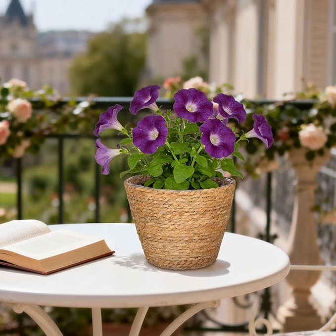 BESPORTBLE 2pcs Rattan Flower Basket Woven Plant Basket for Indoor Rustic Wall Flower Arrangement