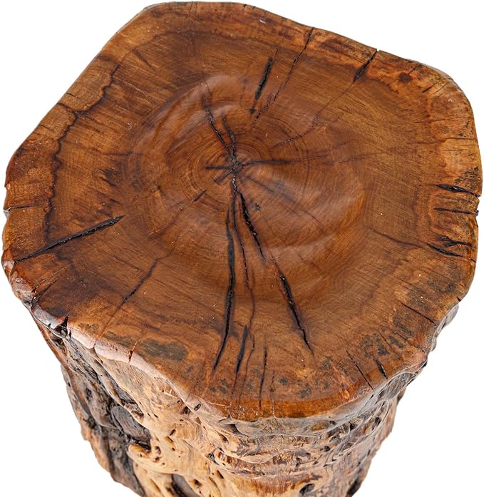 THY COLLECTIBLES Natural Tree Trunk Stump Stool with Live Edge Solid Wood Plant Stand, Stool, Garden Bench, Side Table, End Table - D8.6 in x H9.5 in
