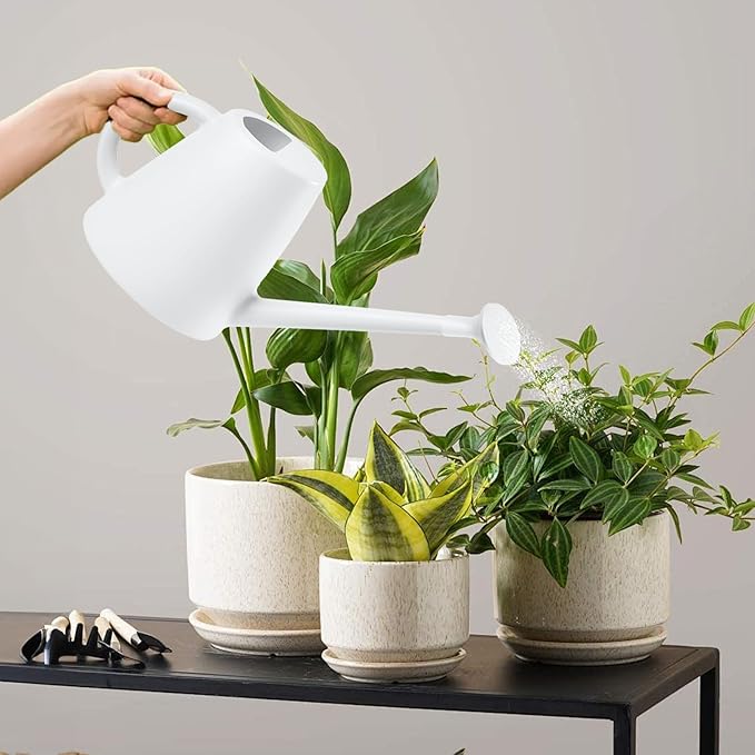 Indoor and Outdoor Watering Can - Long Spout -1/2 Gallon (64oz) - White