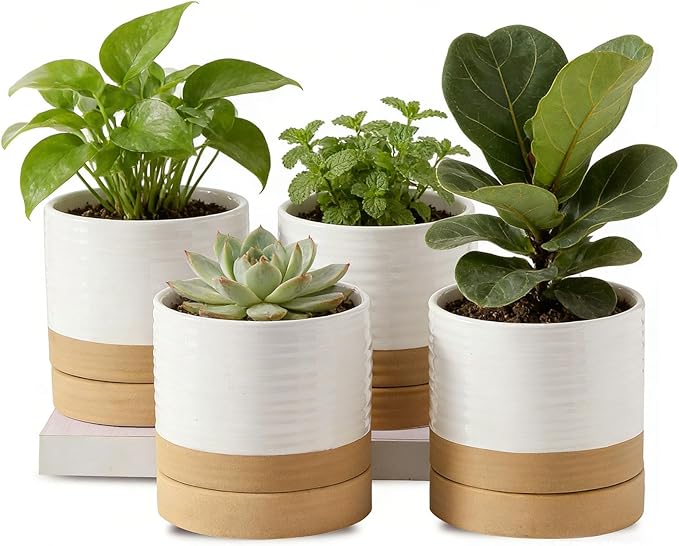 HASENSE 4.6 Inch Plant Pots, Ceramic Flower Pots for Indoor Plants, Small Two-Tone Design Planter with Drainage Hole and Saucer, Cute Windowsill Tabletop Decor, Set of 4, White-Brown