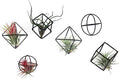 ZOOELAY Small Air Plant Holders Stand Black Airplants Rack Planters Metal Air Fern Plant Display Cage Geometric Tillandsia Pot Containers Gift Idea 6 Pcs
