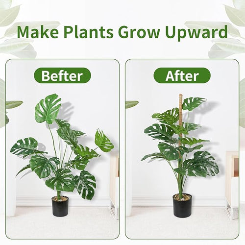 1 Pack 48'' Bendable Moss Pole Monstera Plant Support for Climbing Indoor Plants - Stakes for Potted Climbers (1)