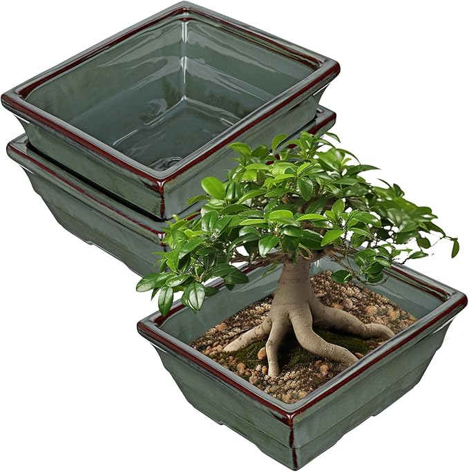 Set of 2 Large Green Glazed Ceramic Bonsai Pots, 10" Rectangular Bonsai Planters Pots with Drainage Hole for Indoor/Outdoor Plants, Bonzie Tree Pot for Succulents, Cacti, Orchids, Herbs, Spider Plants